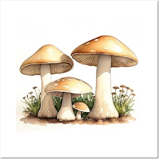 Mushrooms Posters and Art